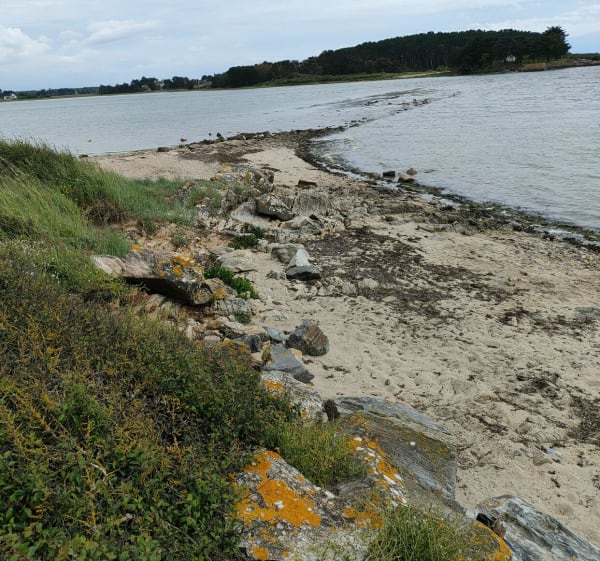 Promenade à travers les marais de Séné jusqu'à la mer - Séné - 1