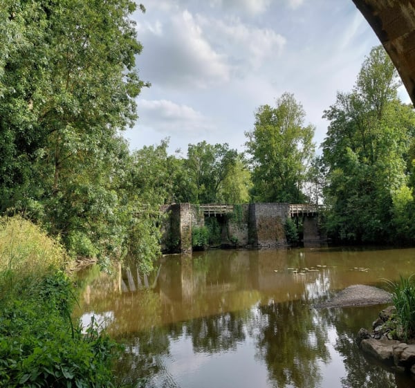 Au cœur de la réserve naturelle des Coteaux du Pont Barré - Beaulieu-sur-Layon - 1