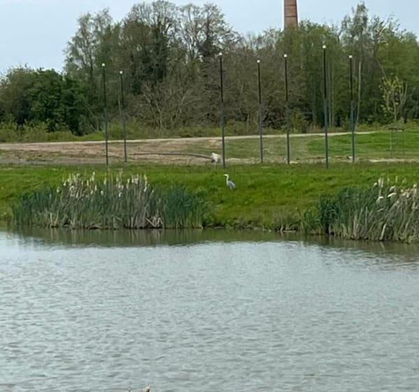 Lambres-Lez-Douai, par le Râquet et Courchelettes - Lambres-Lez-Douai - 1