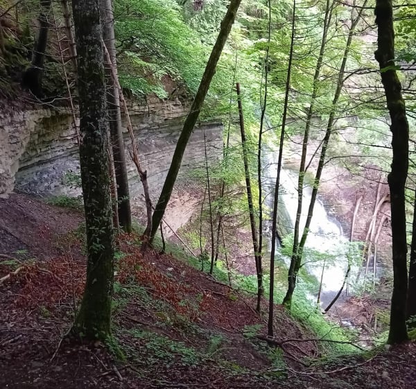 Rando sur le plateau de Saint-Hilaire - Plateau-des-Petites-Roches - 1