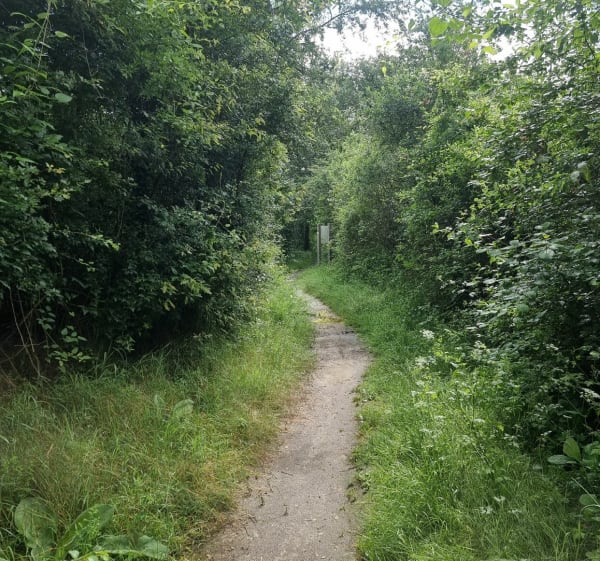Petit tour au bord de Loire depuis Rivas - Rivas - 1