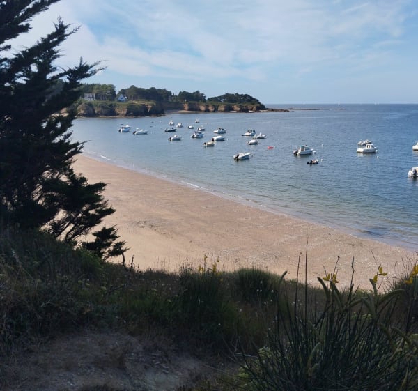9 plages sur le Gr34 et sentier de tunnels forestiers - Pénestin - 1