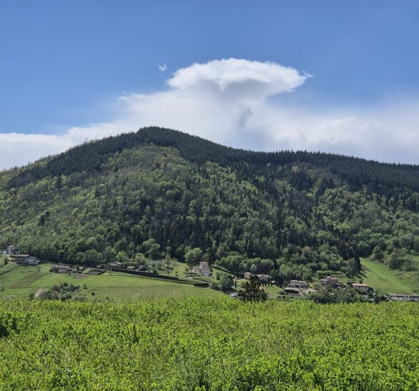 Boucle de Crêt Néron depuis Salles-Arbuissonnas-en-Beaujolais - Salles-Arbuissonnas-en-Beaujolais - 1