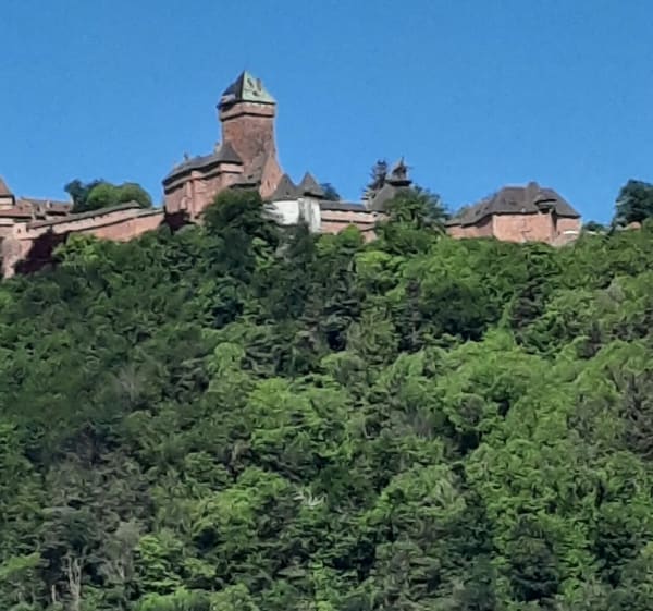 Petite sortie vélo en Alsace Centrale - Sélestat - 1