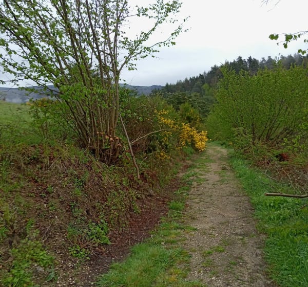 Charraix de drie valleien, via Prades - Charraix - 1