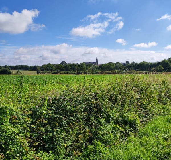 Tour entre Saint-Viaud et Corsept - Cedric - 1