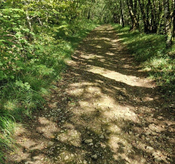 Entre Beaumont et le Grand Mayne - Beaumontois-en-Périgord - 1