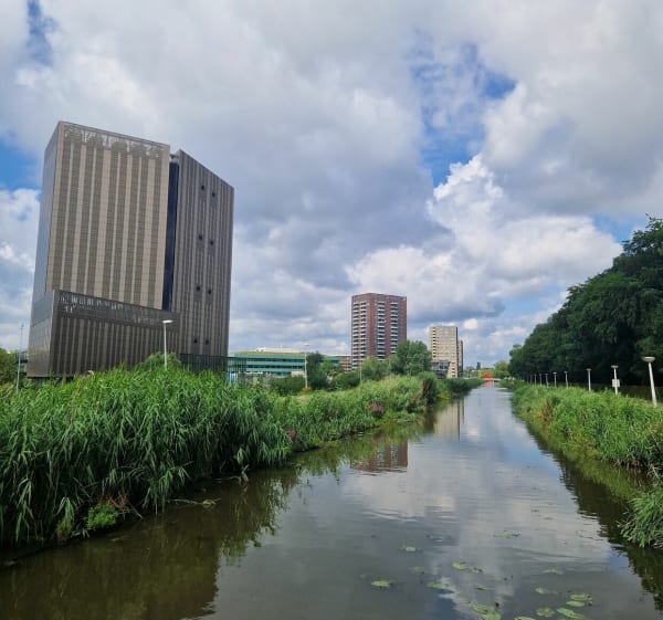 Amsterdamse wandeling rond het Flevopark - Amsterdam - 1
