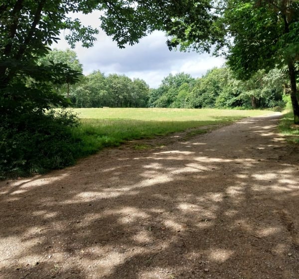 Boucle Chezine, parc Begraisiere - Saint-Herblain - 1