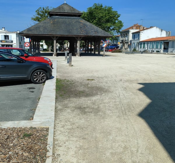 Saint-Georges-d'Oléron entre port du Douhet et ses marais - Saint-Georges-d'Oléron - 1