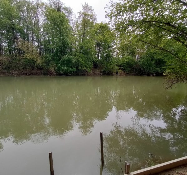 Balade sentier nature le long de l'Aisne, par Coucy - Rethel - 1