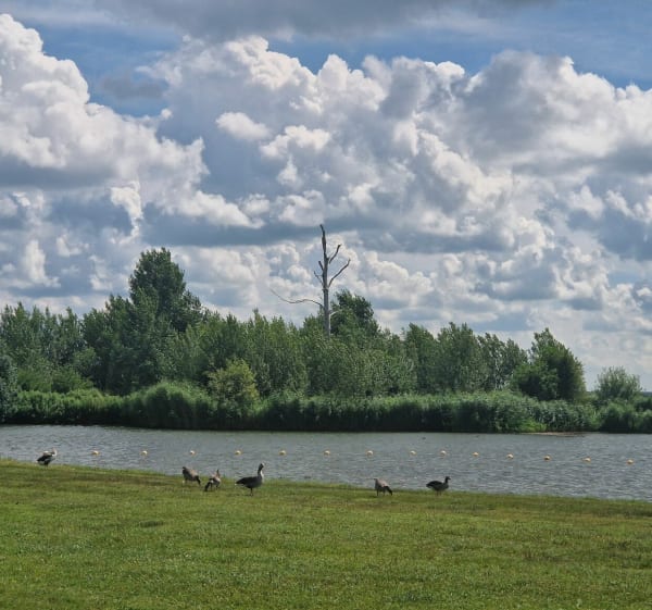 Balade autour du Ouderkerkerplas - Ouderkerk aan de Amstel - 1