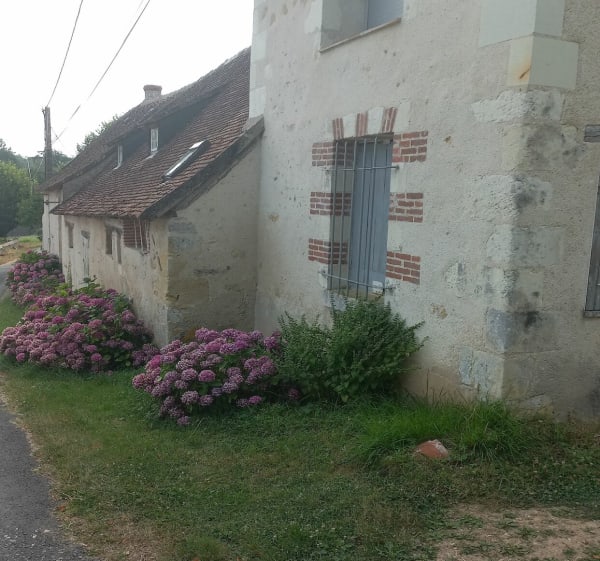 Coteau de Loire et forêt d'Amboise - Lussault-sur-Loire - 1