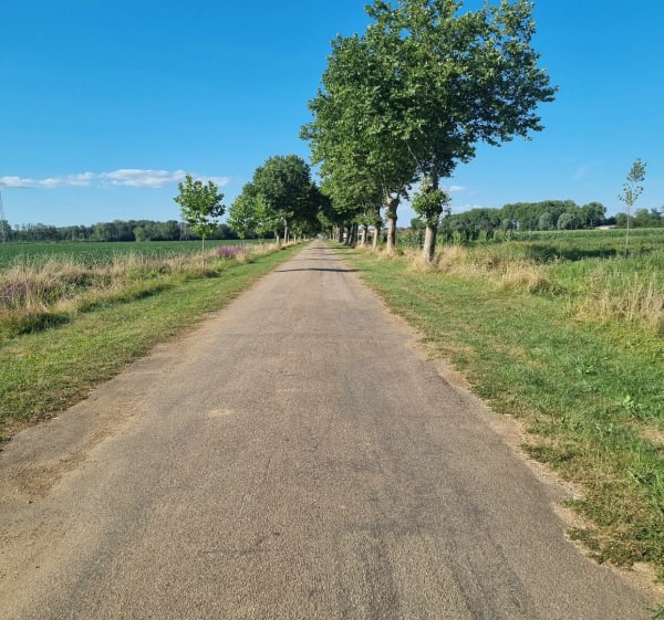 Bord de Saône et villages - Losne - 1