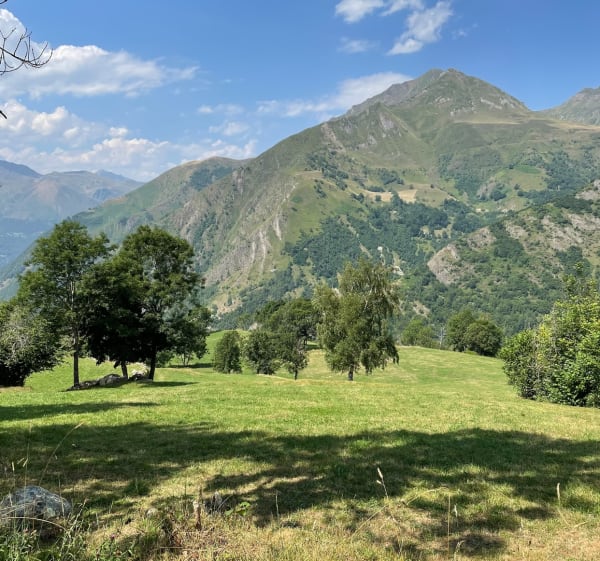 Balade en forêt de l’Ayré depuis Barèges - Barèges - 1