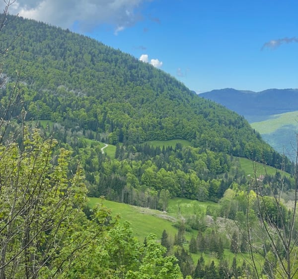 Randonnée Golet de Doucy et le Col de la Bornette - Bellecombe-en-Bauges - 1