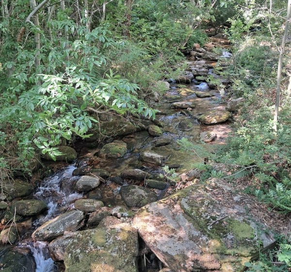 Le sentier des ruisseaux - Castans - 1