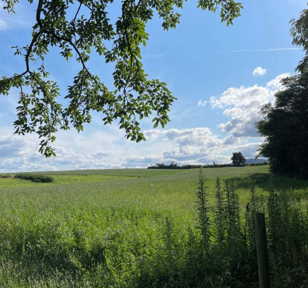 Mont Monnet panorama - Les Roches-de-Condrieu - 1