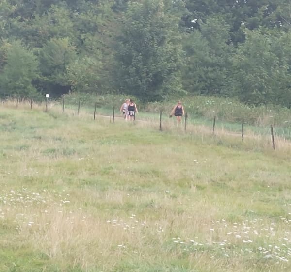 Boucle entre Pinchefalise -.Boismont - Bretel - Boismont - 1