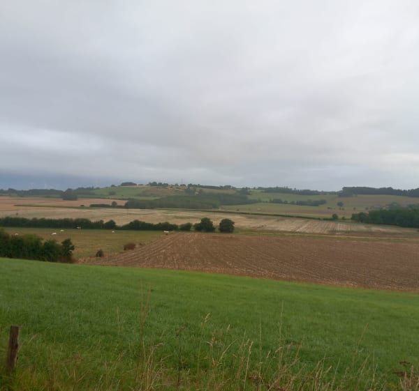 Boucle autour de Domfront-en-Champagne - Domfront-en-Champagne - 1
