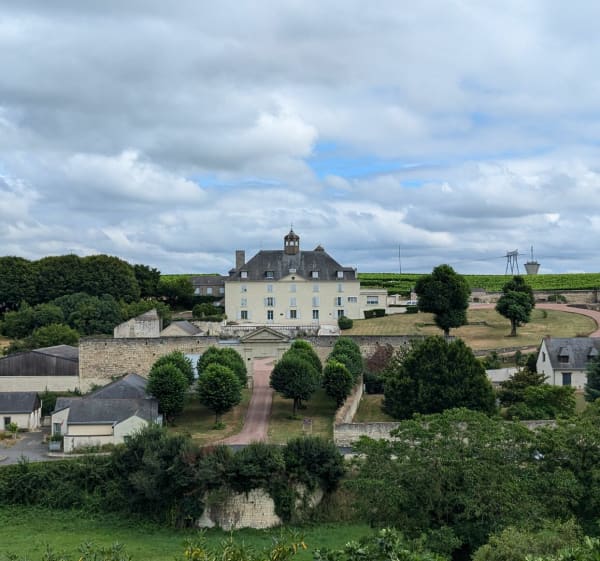Turquant, Montsoreau et la Loire - Montsoreau - 1