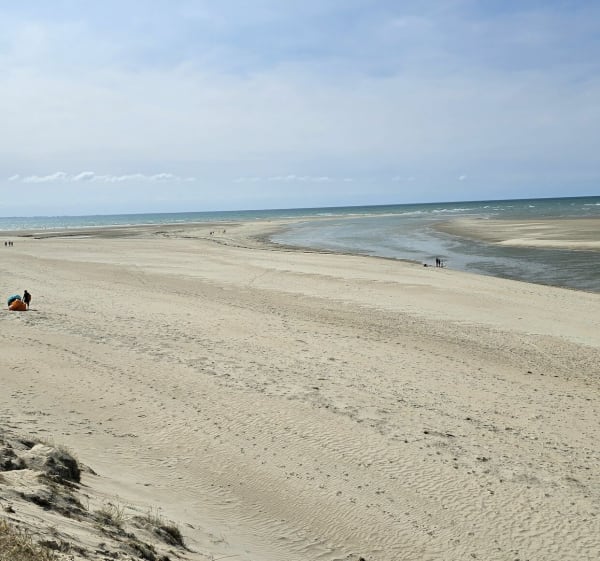 Ile et plage du bout du monde - Bricqueville-sur-Mer - 1