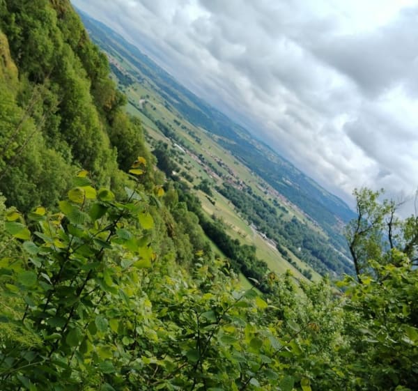 Rando autour de Bas-en-Basset - Bas-en-Basset - 1