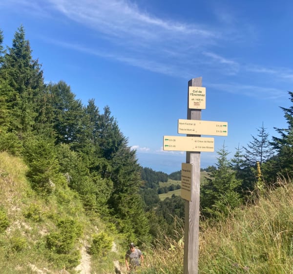 Le grand tour du Mont Forchat - Habère-Poche - 1