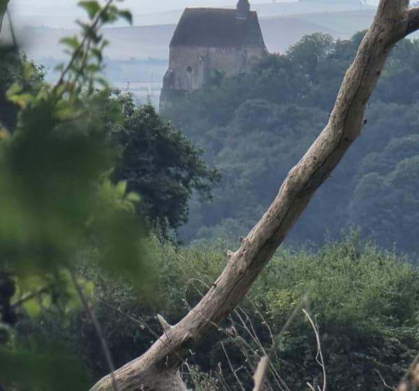 Balade autour de St-Julien-du-Sault - Saint-Julien-du-Sault - 1