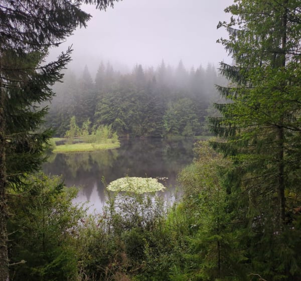 Randonnée de la Grosse Pierre et Pré Thia - La Bresse - 1