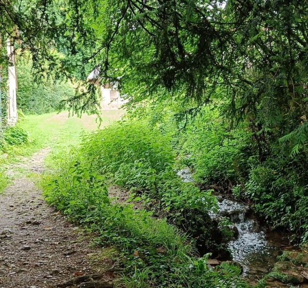 Boucle entre Firfol, Moyaux et  Ouilly du Houley - Ouilly-du-Houley - 1