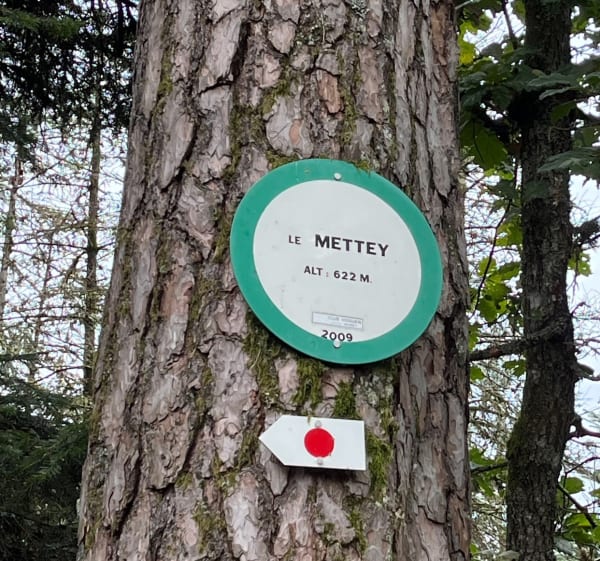 Roche des Ducs au départ de Vagney - Vagney - 1