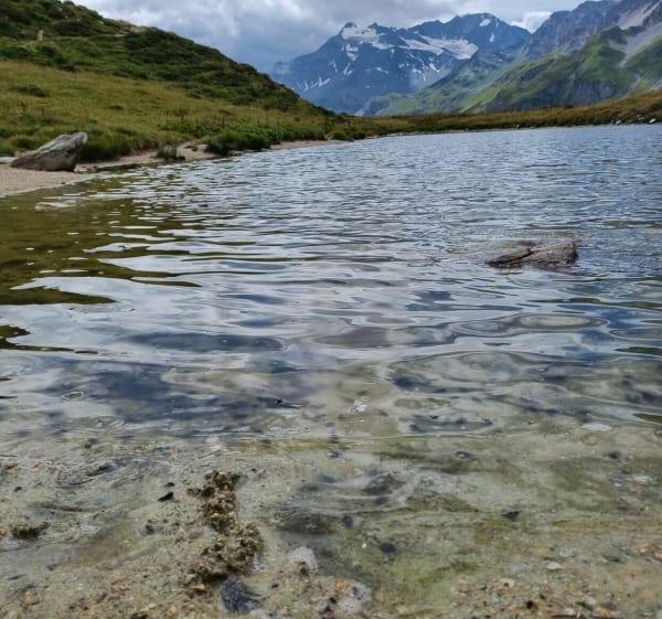 Chalet des Nants et Lac des têtards - Pralognan-la-Vanoise - 1