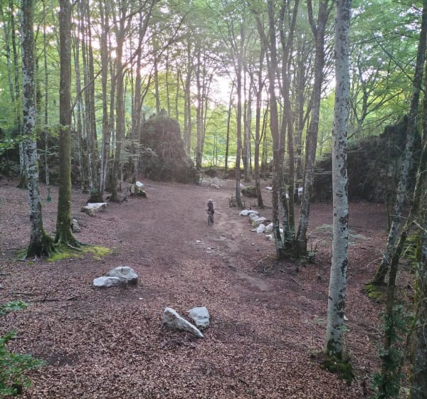 Sortie en forêt d'Escandorgue - Valerie - 1