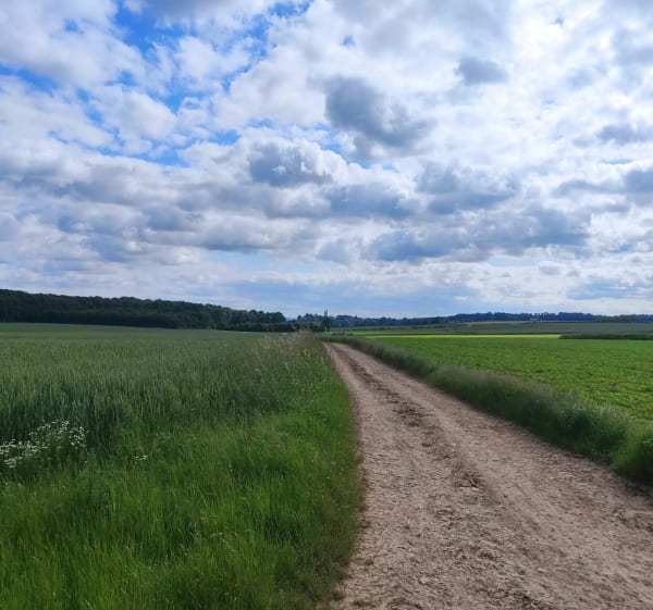 Boucle autour d'Arras - Arras - 1