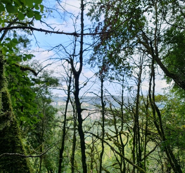 Bonbois - Haute Pisse-Vache - Sonthonnax-la-Montagne - 1