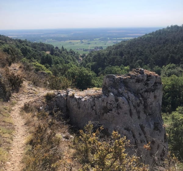 Morey et La Combe Lavaux - Morey-Saint-Denis - 1