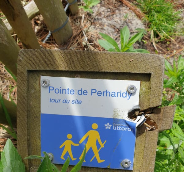 Circuit autour de la pointe de Perharidy - Santec - 1
