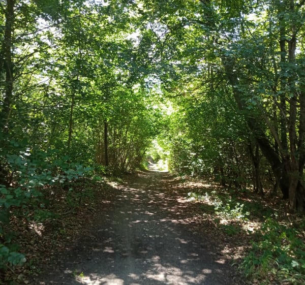 Aumont entre Soleil et sous bois - Aumont-en-Halatte - 1