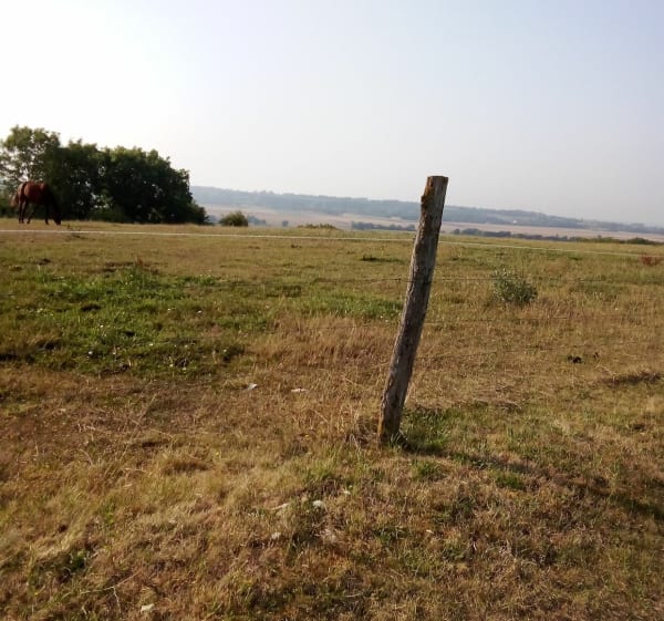 Tour autour de la mer avec vue sur les champs de St-Côme - Saint-Côme-de-Fresné - 1