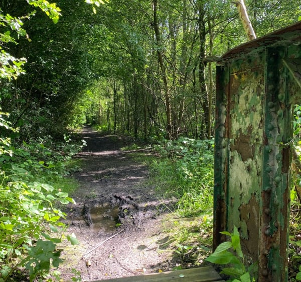 Rando entre Rieulay et Marchiennes - Rieulay - 1