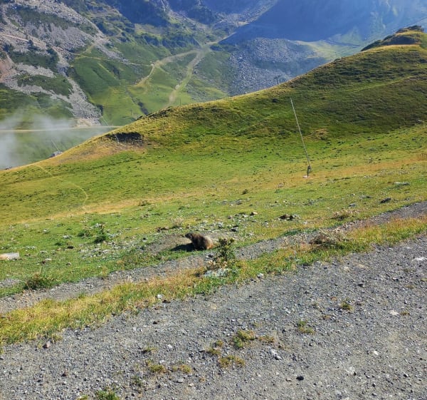 Boven La Mongie en uitzicht op de Pic du Midi - Bagnères-de-Bigorre - 1