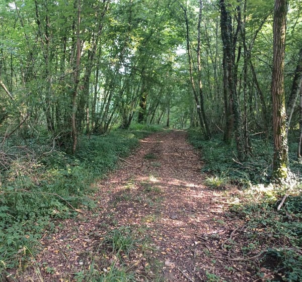Boucle des Côtes - Bazincourt-sur-Saulx - Bazincourt-sur-Saulx - 1