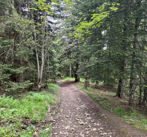 Mont d’Hermone et sa Chapelle, par le col du Feu. - Lyaud - 1