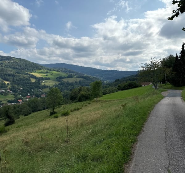 Route et paysage autour de Saint-Dié-des-Vosges - Saint-Dié-des-Vosges - 1