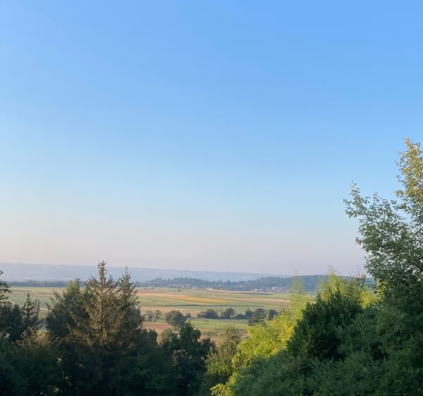 Entre plaine et forêt au départ de Faramans - Faramans - 1