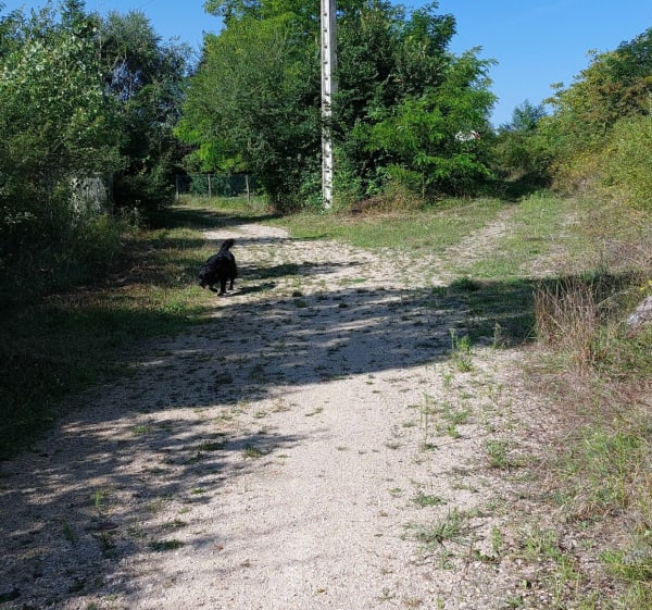 Balade le long du canal de Bray-sur-Seine à la Tombe - Balloy - 1