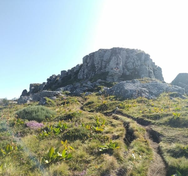 Puy de Chavaroche au départ du col de Légal - Saint-Projet-de-Salers - 1