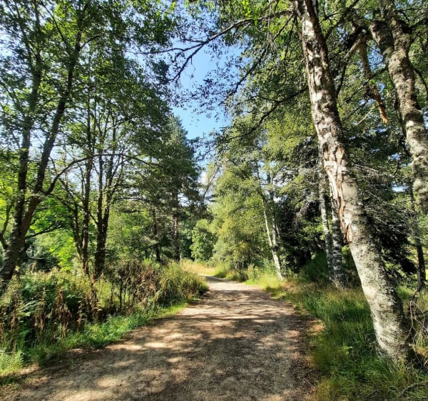 Tourbieres de tuiliere - Le Plagnal - 1