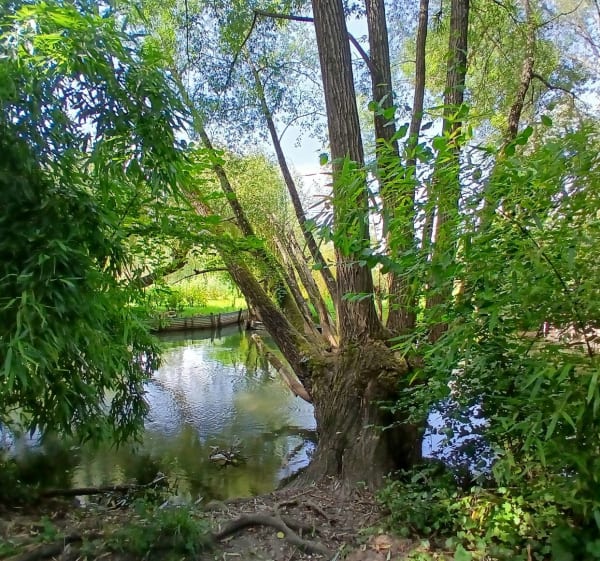 Marais de Bourges - Bourges - 1